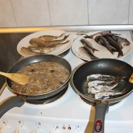 в финляндии, Tatil Evi *