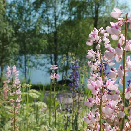 в финляндии, Tatil Evi *